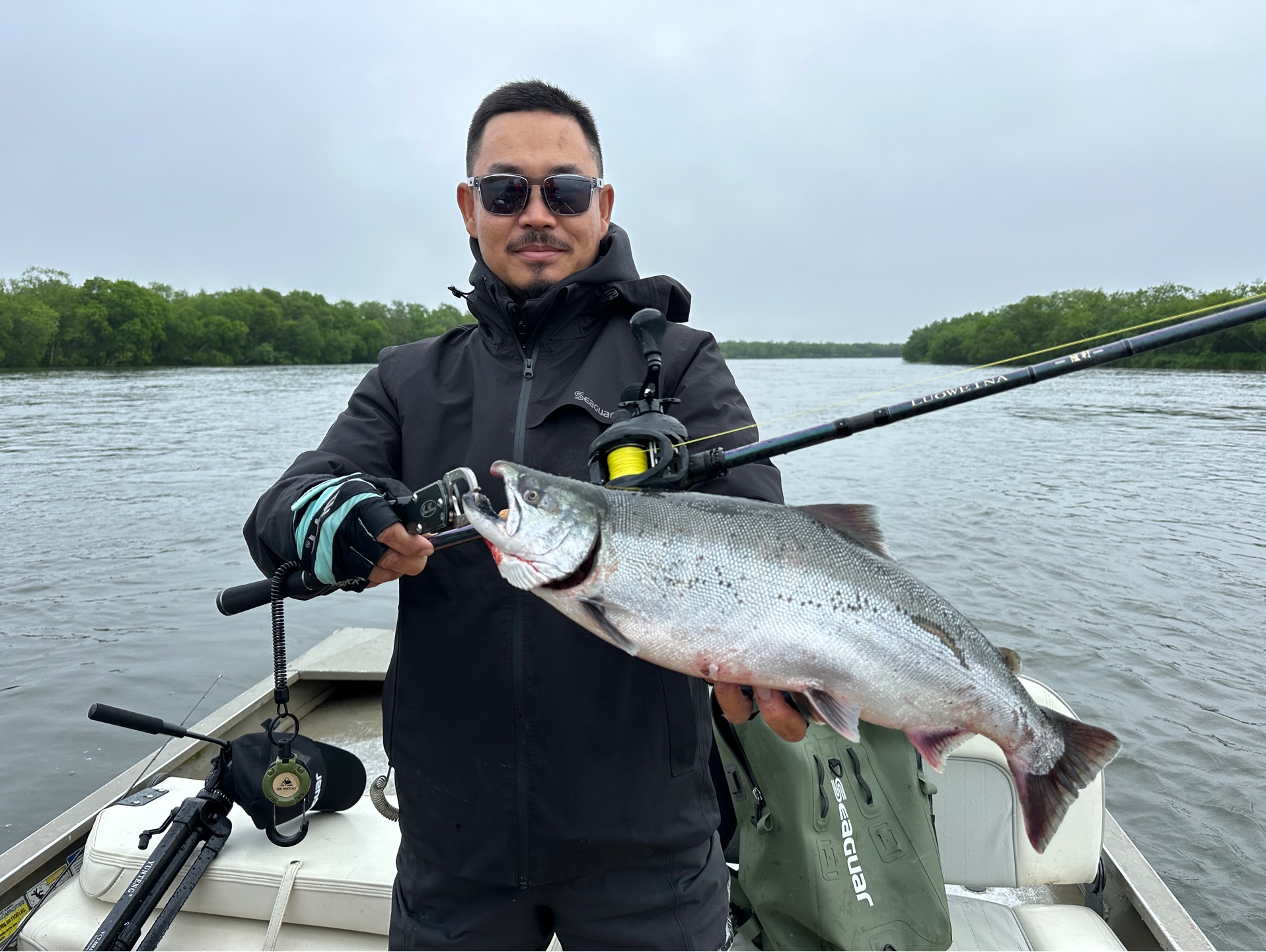 勘察加帝王鲑,世界上顶级的三文鱼帝王鲑,可达20公斤,每年6月份开始