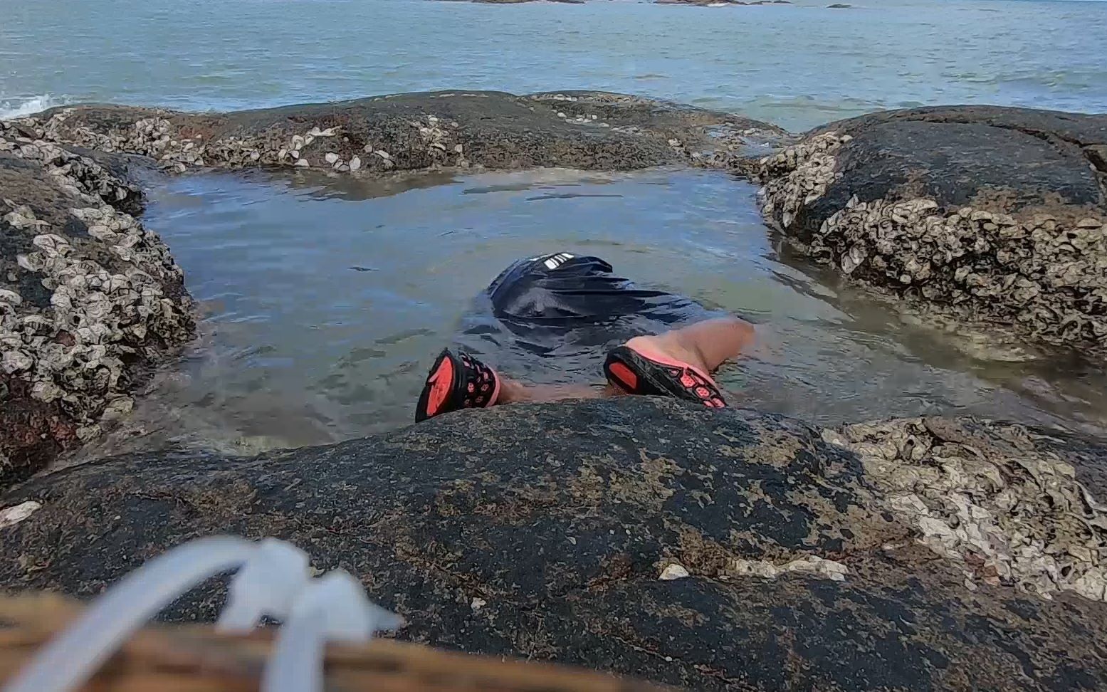 海边废弃一个巨坑,阿波下去赶海竟被死死"缠住"不放,太吓人了