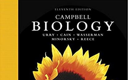 普通生物学Campbell Biology_哔哩哔哩_bilibili