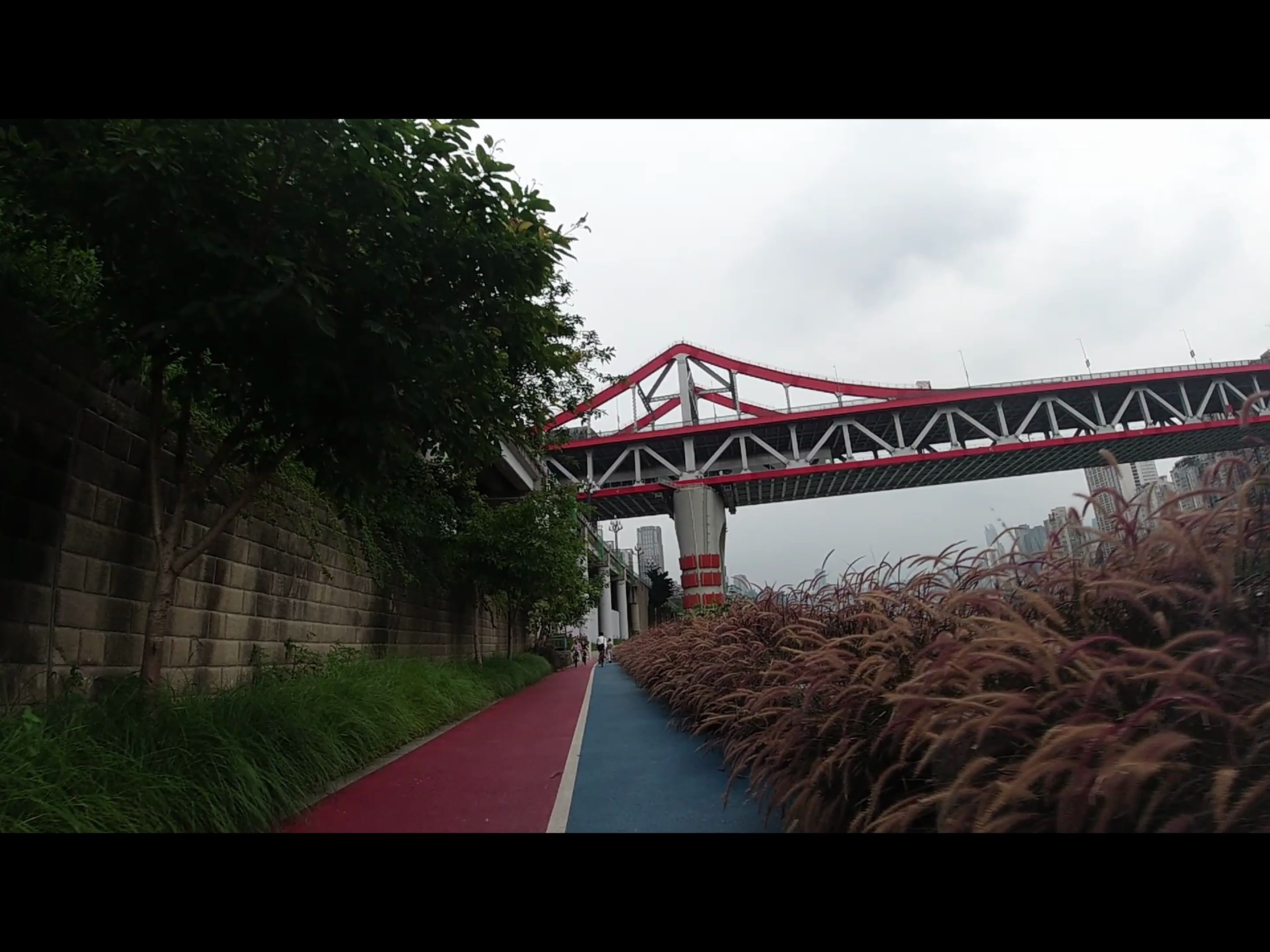 【出游】20240610北滨路骑行