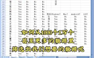 Download Video: Excel表格里如何批量快速筛选数据