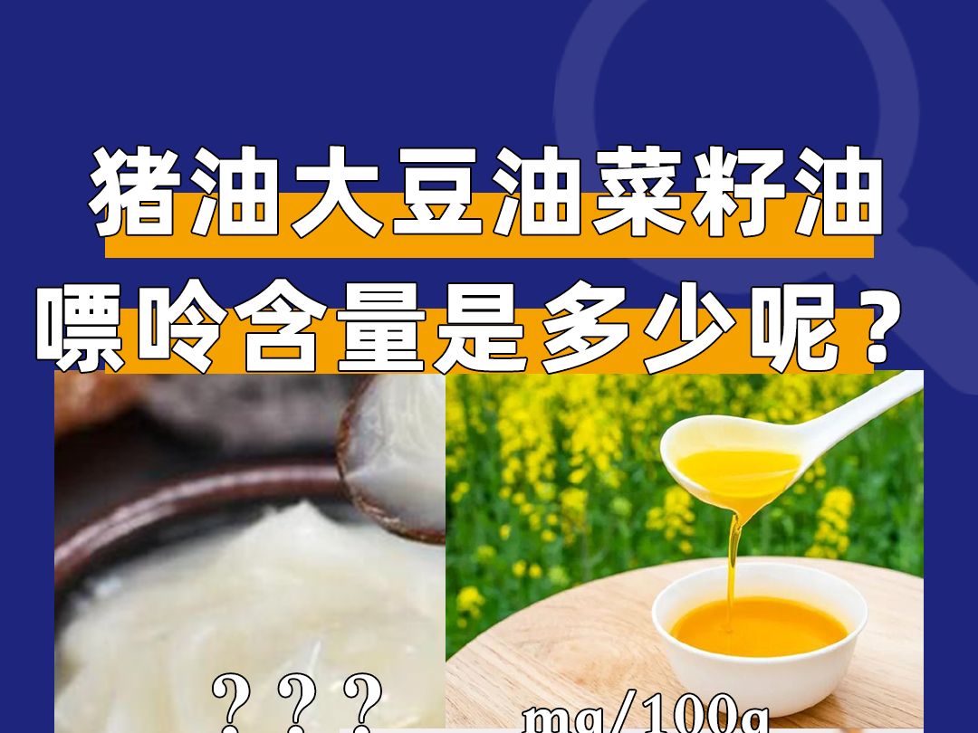 大豆油、菜籽油、猪油的嘌呤含量是多少呢?哔哩哔哩bilibili