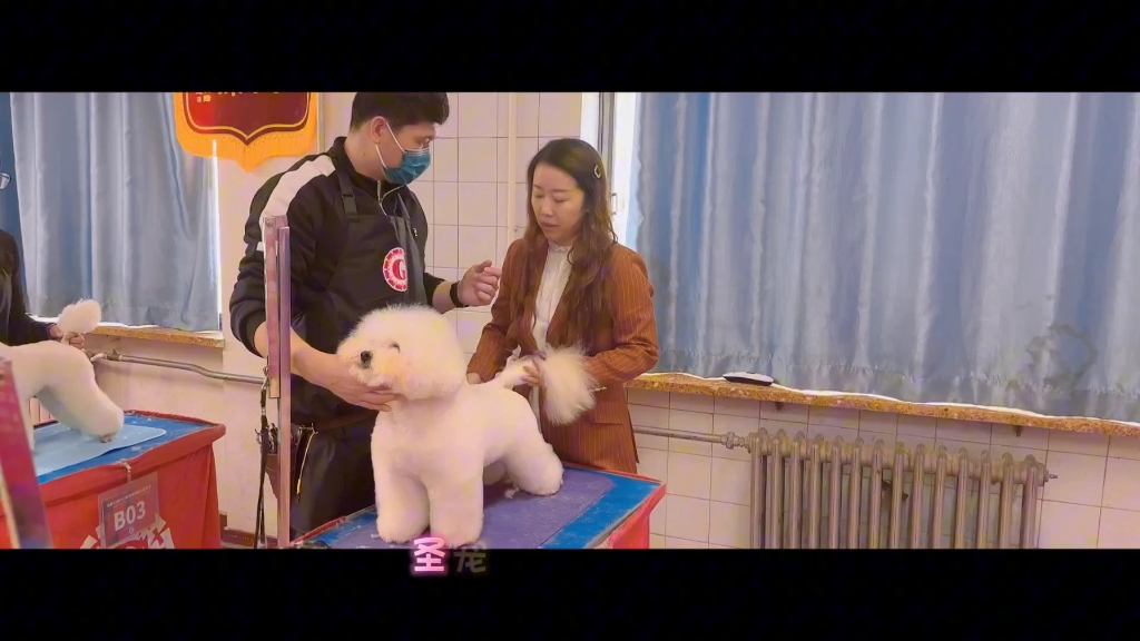 全球首个开元棋牌- 开元棋牌官网 - 开元棋牌APP下载宠物智能化生态平台“Pet无忧”上市