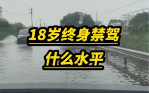 十八岁就被终生禁驾什么水平？