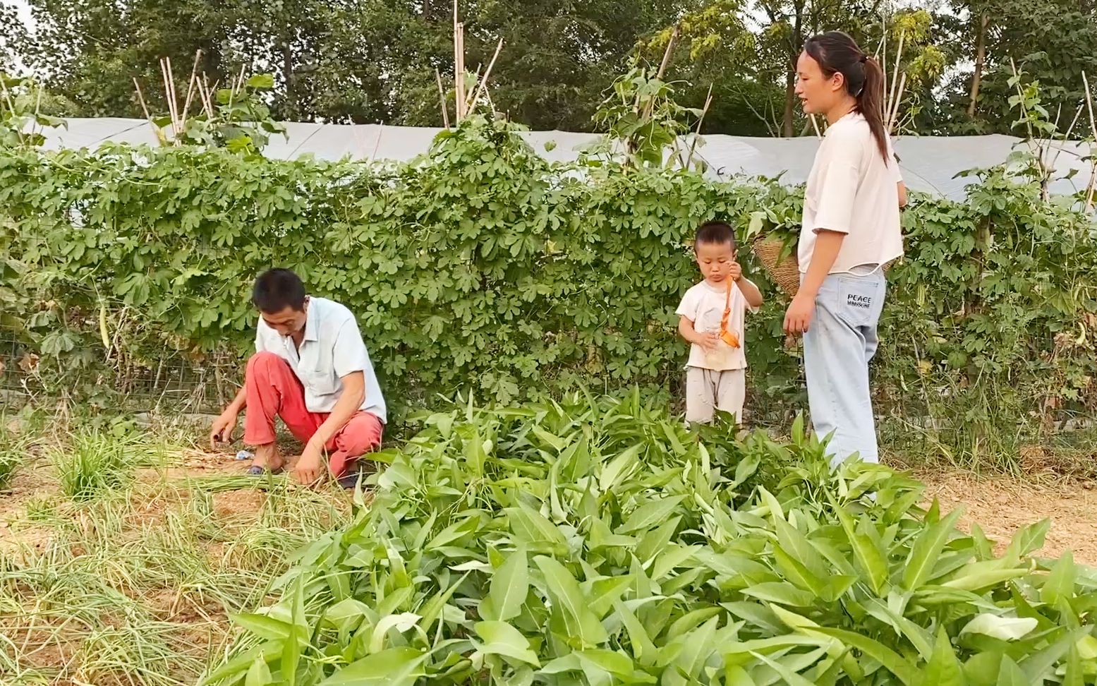 [图]荣荣想下乡摆摊做生意，本小利大很赚钱，公爹却担心路上不安全