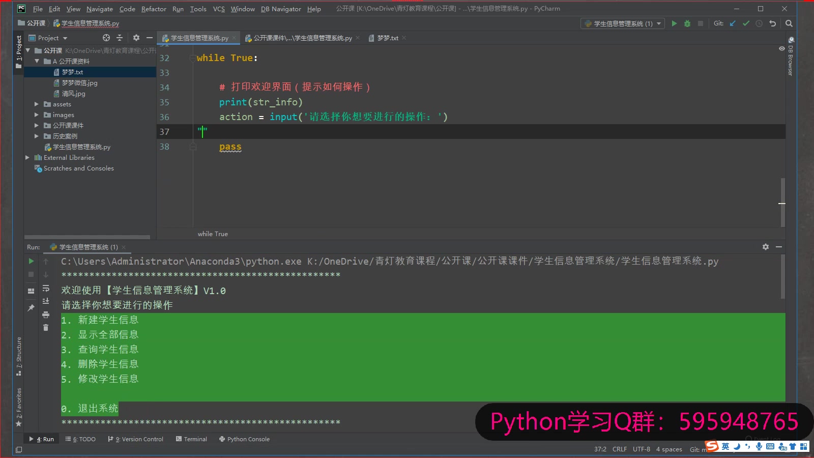 Python入门级教程:信息管理系统开发!哔哩哔哩bilibili