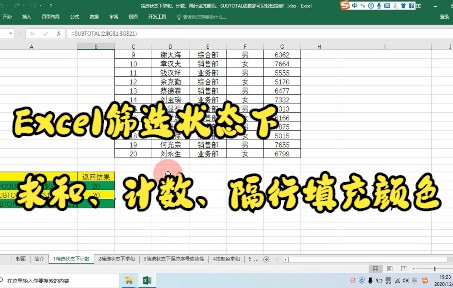 【Excel技巧】今天教你Excel筛选状态下求和、计数、隔行填充颜色哔哩哔哩bilibili