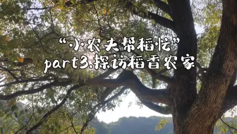 乡村美育线上艺术季第十一期 04：小农夫帮“稻”忙第三天——湖南一禾·箭楼村自然与人文艺术创新教育园