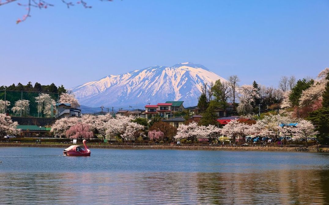 【日本巡礼-03.岩手県】高松公園の桜 sakura at takamatsu park