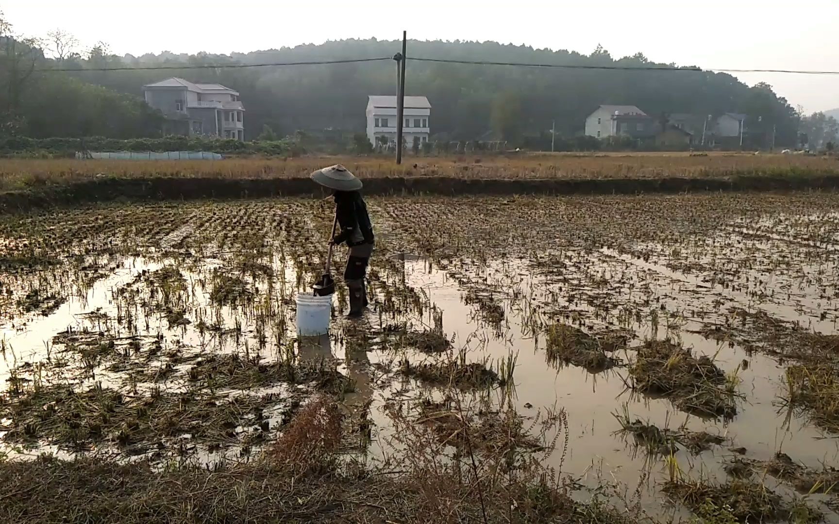 酵素生态种植第204天:半亩田洒环保酵素和液体肥,改善土壤养田哔哩哔哩bilibili