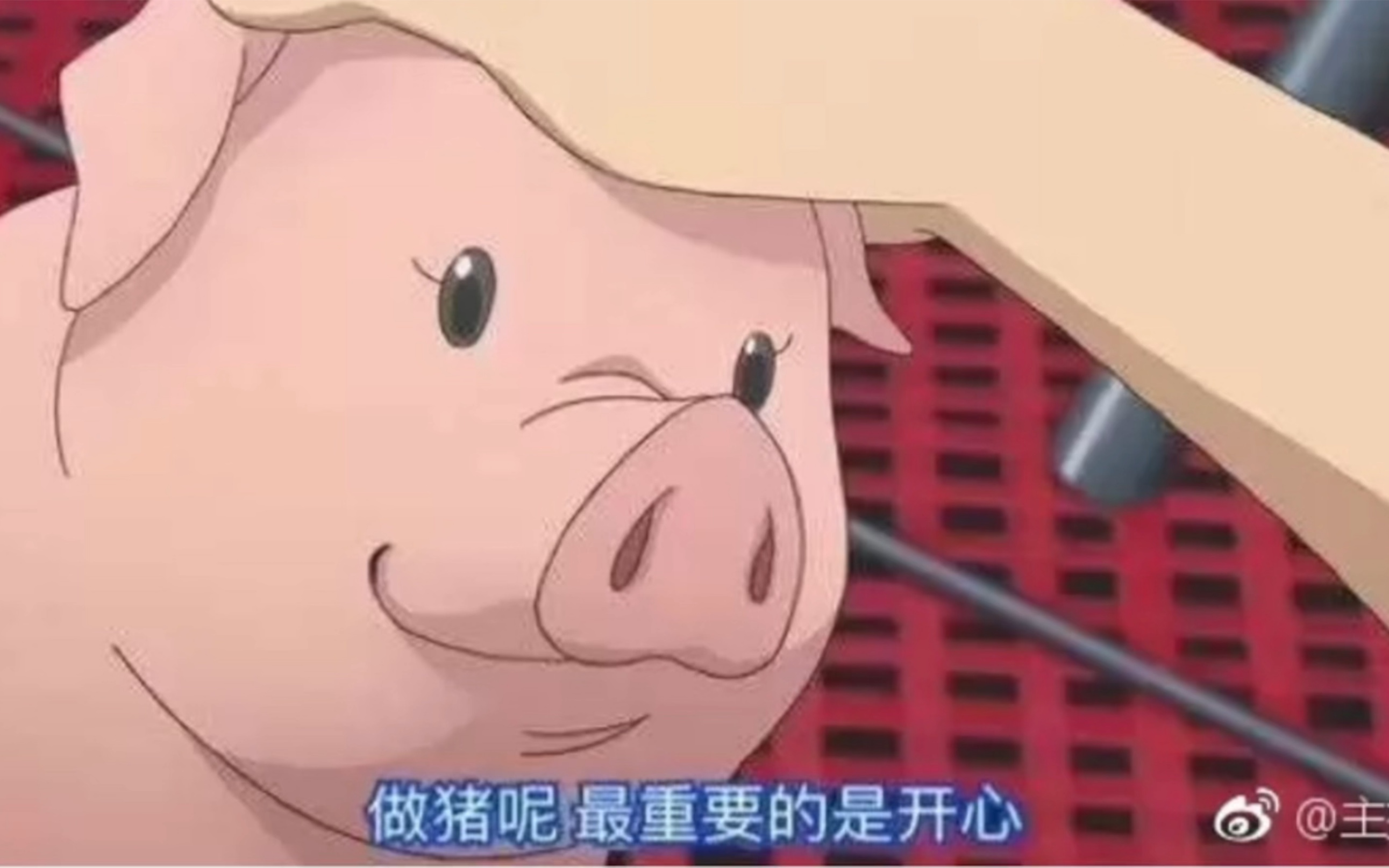 斗鱼blue睡衣小猪周三就要飞向重庆啦临走前嘱咐睡衣好多好多睡衣真的