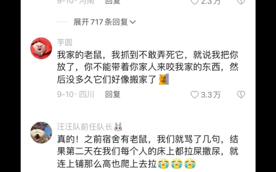 惊呆了!老鼠能听懂人话?成年老鼠智商相当于8岁小孩!哔哩哔哩bilibili