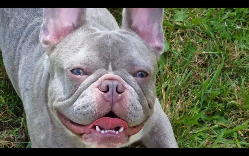 小洛基_哔哩哔哩_bilibili