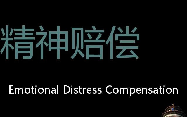 精神赔偿 Chinese Pronunciation Emotional Distress Compensation哔哩哔哩bilibili