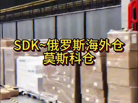 我们是华人自营【SDK】仓(满足物流/仓储/派送/一条龙本土服务#速卖通 #wildberries #ozon #yandex #一件代发 #跨境电商哔哩哔哩bilibili