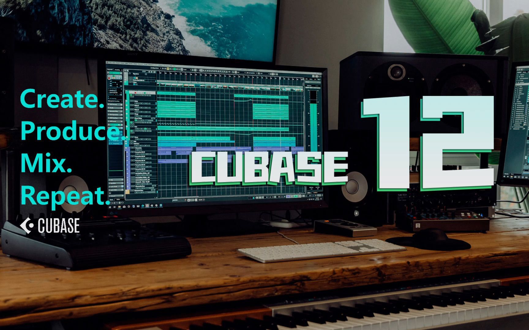 音乐制作宿主软件 steinberg cubase12 pro 安装 win-mac