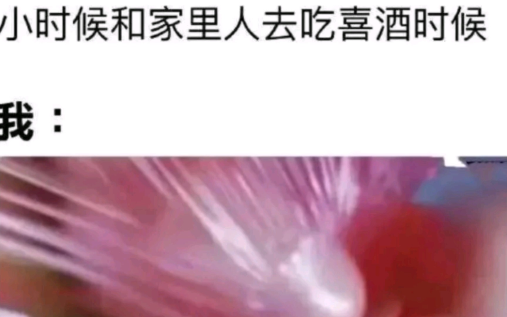 网络上的爆笑图片114哔哩哔哩bilibili