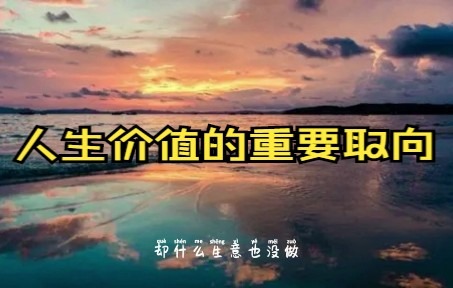 人生价值的重要取向哔哩哔哩bilibili