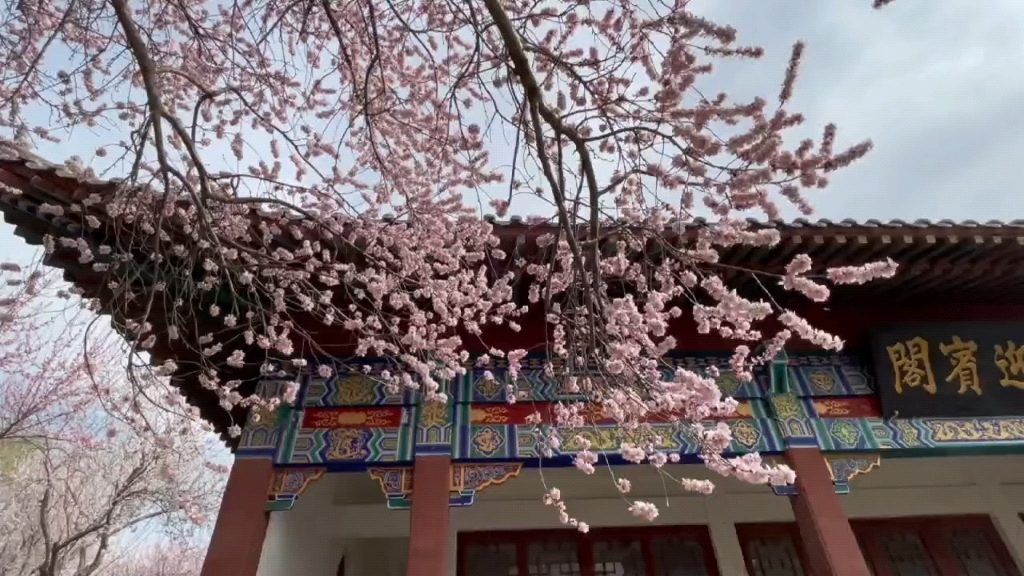 春来潞水满花天,风伴娇娆燕舞前.始踏青芳应趁早,盛妆光景正流连.