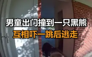 Download Video: 美四岁男童出门撞到一只黑熊，互相吓一跳后逃走