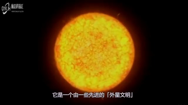 塔比星百科图片