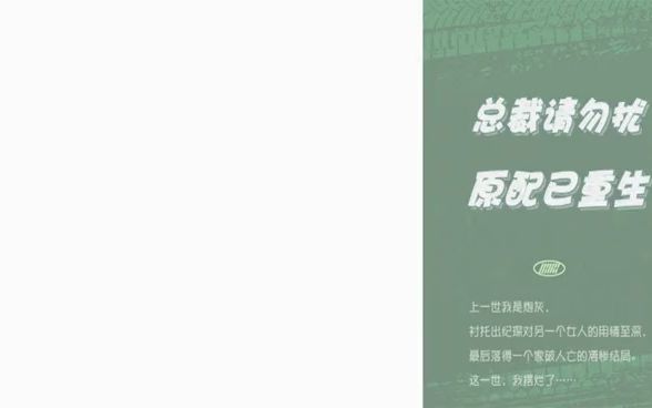 [图]精选小说《总裁请勿扰，原配已重生》徐妙容纪琛