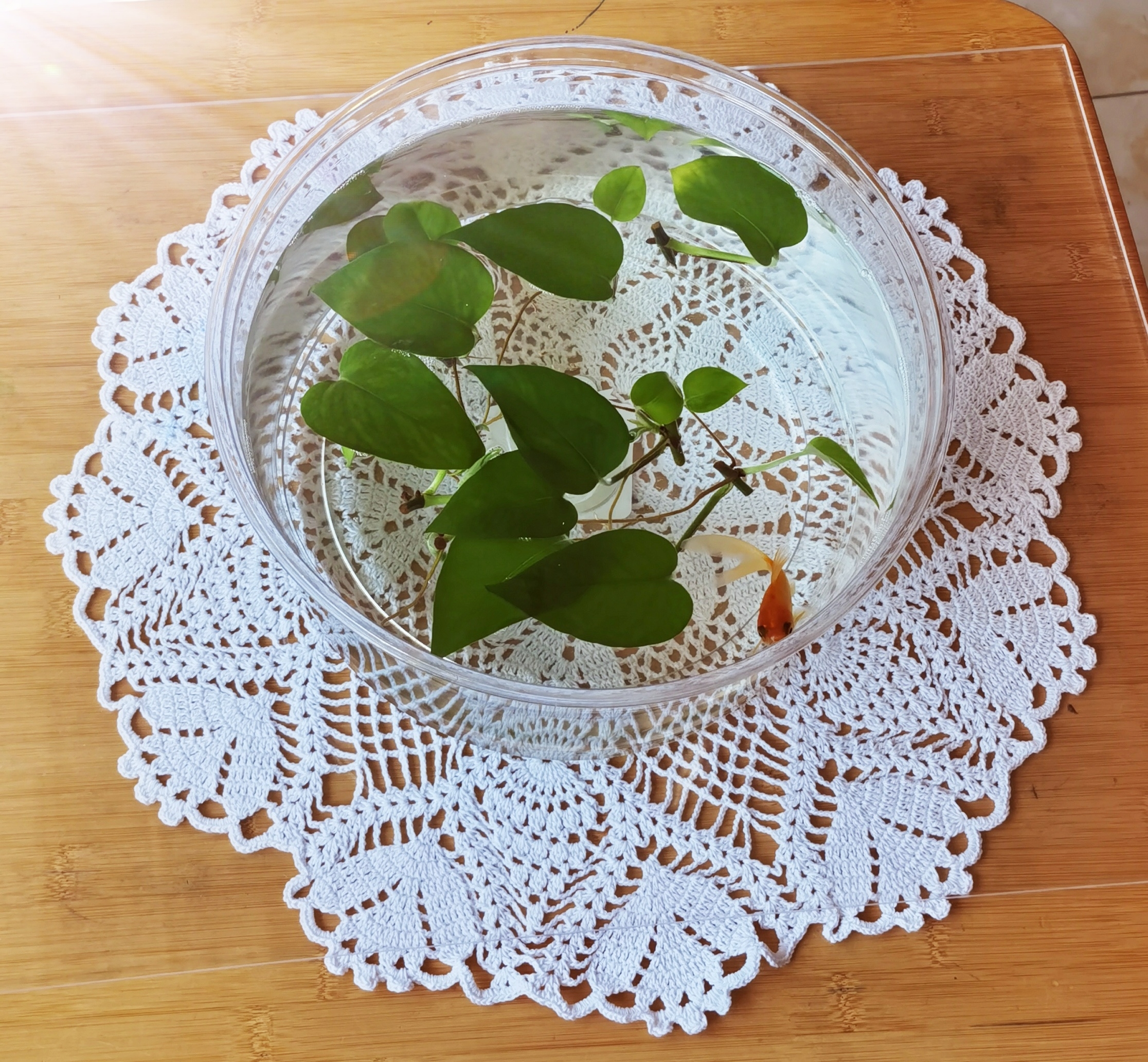 手工钩织圆形纯棉蕾丝桌垫隔热垫