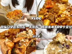 Download Video: 放纵日早起5点炫一天大米饭 高碳水4000卡变化