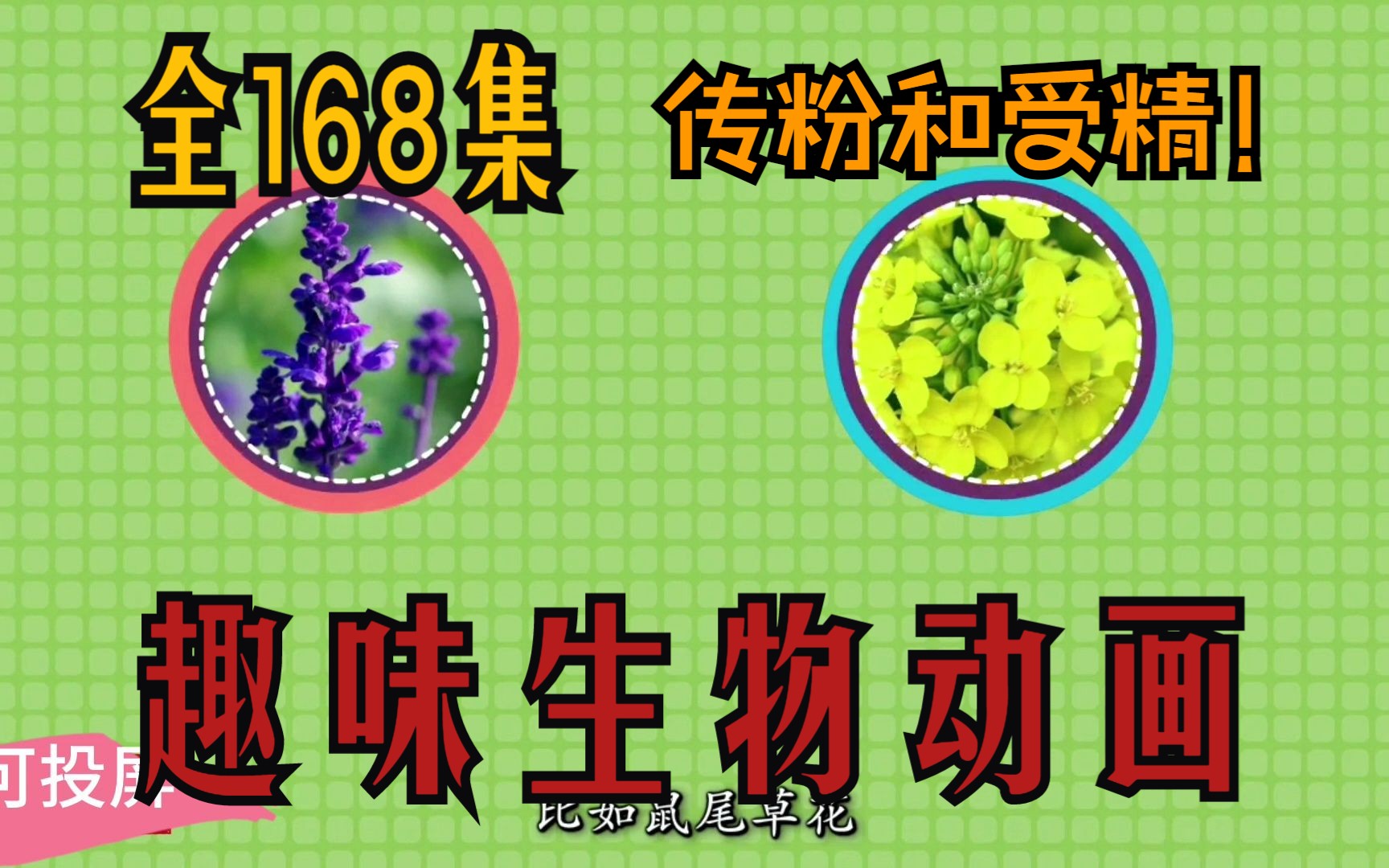 【168集】初中趣味动画,《传粉和受精》哔哩哔哩bilibili