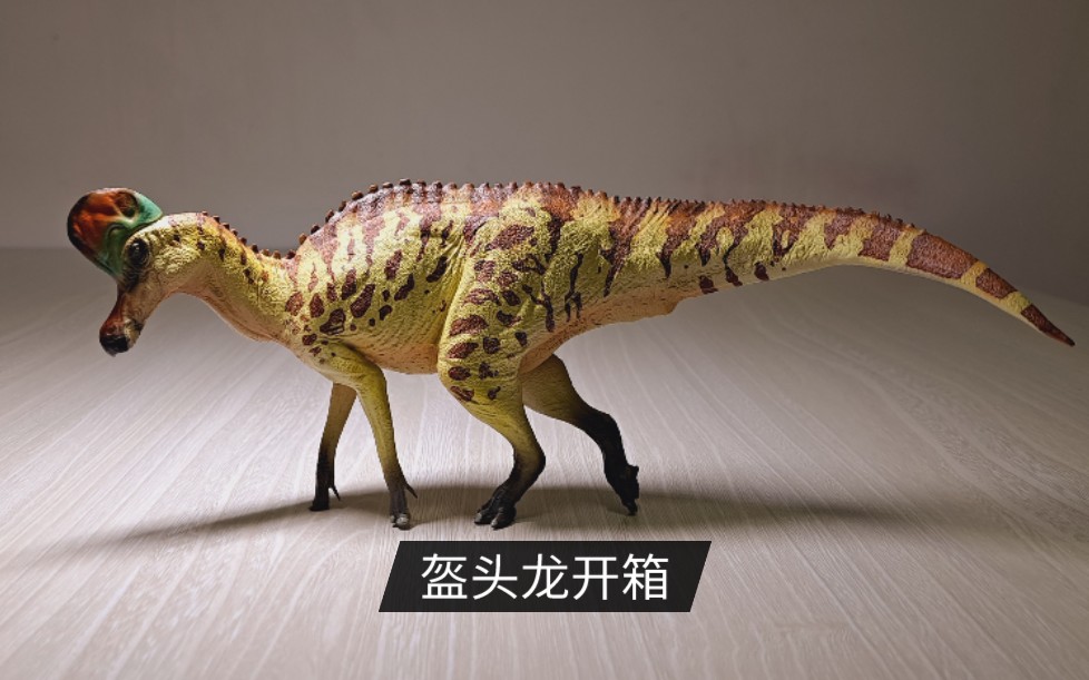 pnso盔头龙开箱_哔哩哔哩_bilibili