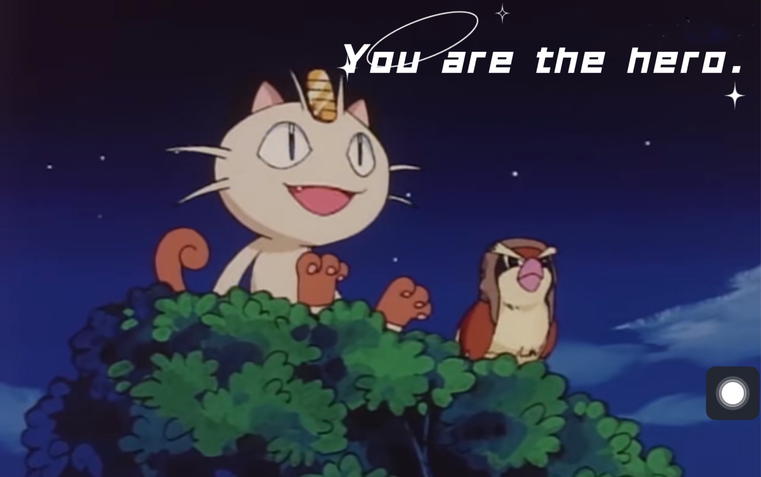 【神奇宝贝】波波:最初的梦想绝对会到达,实现了真的渴望,才能够算到