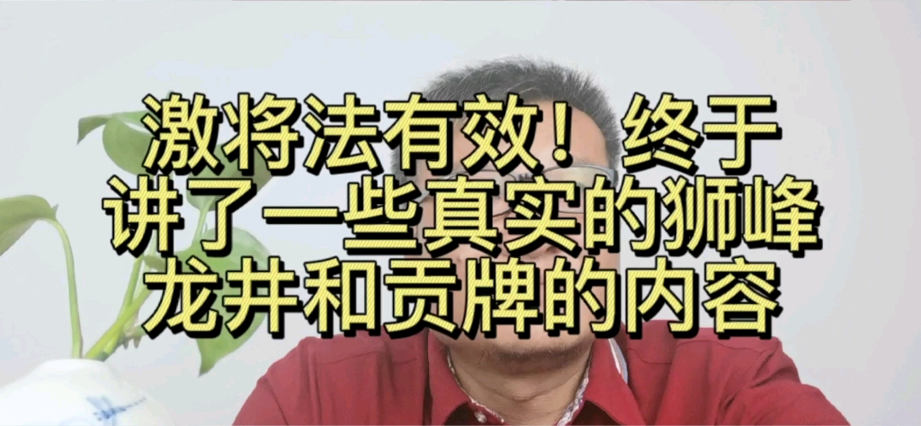 西湖龙井,狮峰龙井,贡牌龙井之间有什么关系?哔哩哔哩bilibili