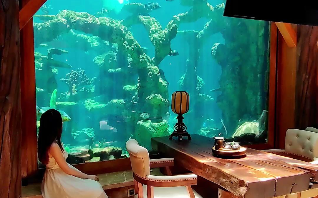 佛山旅游来长鹿#长鹿旅游休博园#美人鱼在长鹿