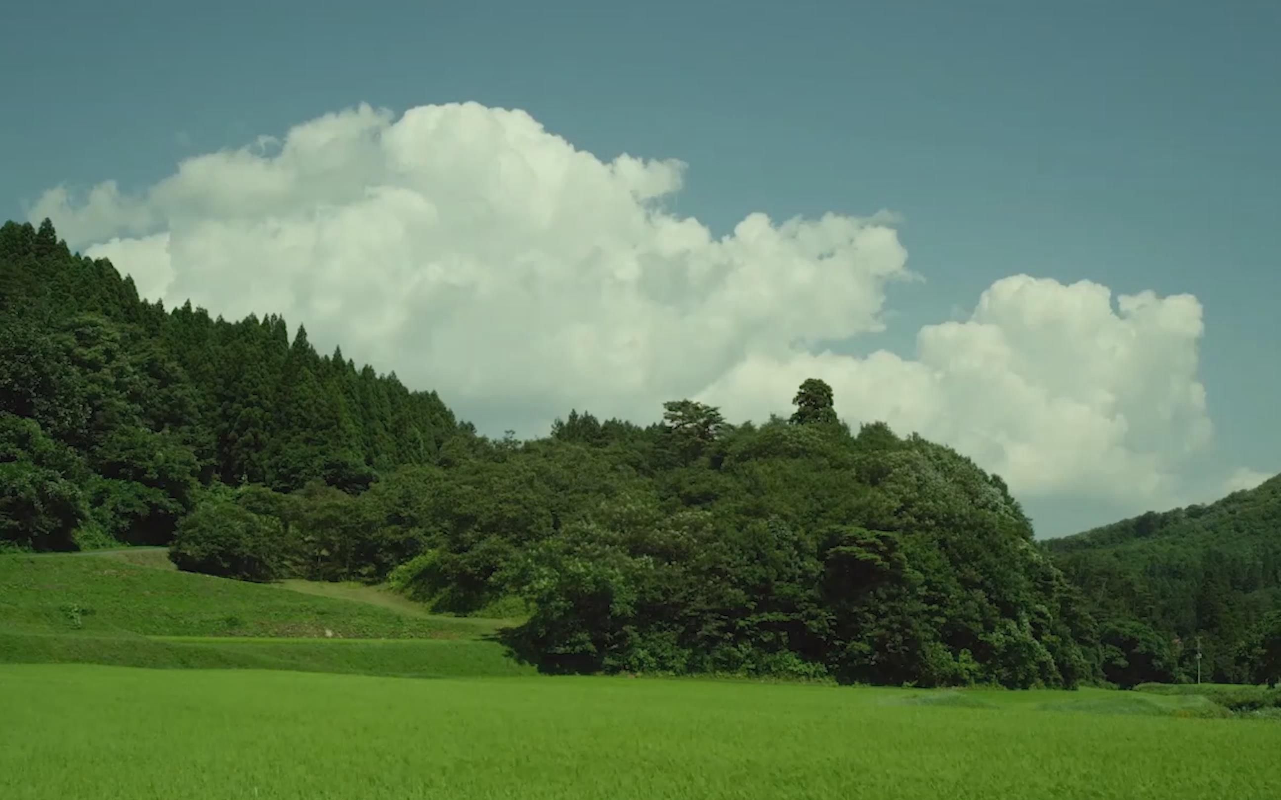 [图]【现代空镜】小森林夏日清新空镜 | 绿色 | 天空 | 云层 | 稻田