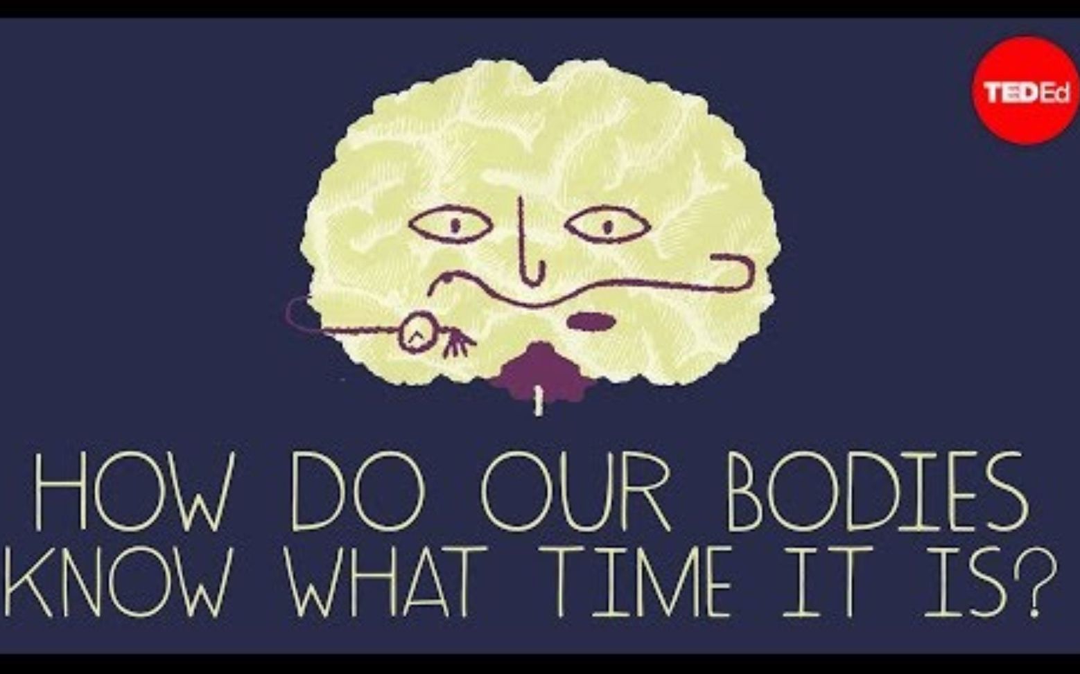 [图]【Ted-ED】你的身体如何知道时间 How Does Your Body Know What Time It Is