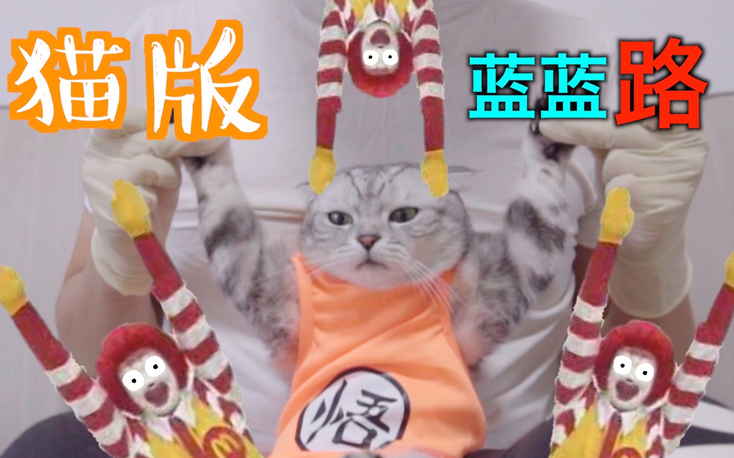 [图]B站首个最终鬼畜蓝蓝路猫咪版 走进入鬼畜新世界！