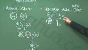15讲 高三生物专题复习——构建知识网络、搭建知识体系