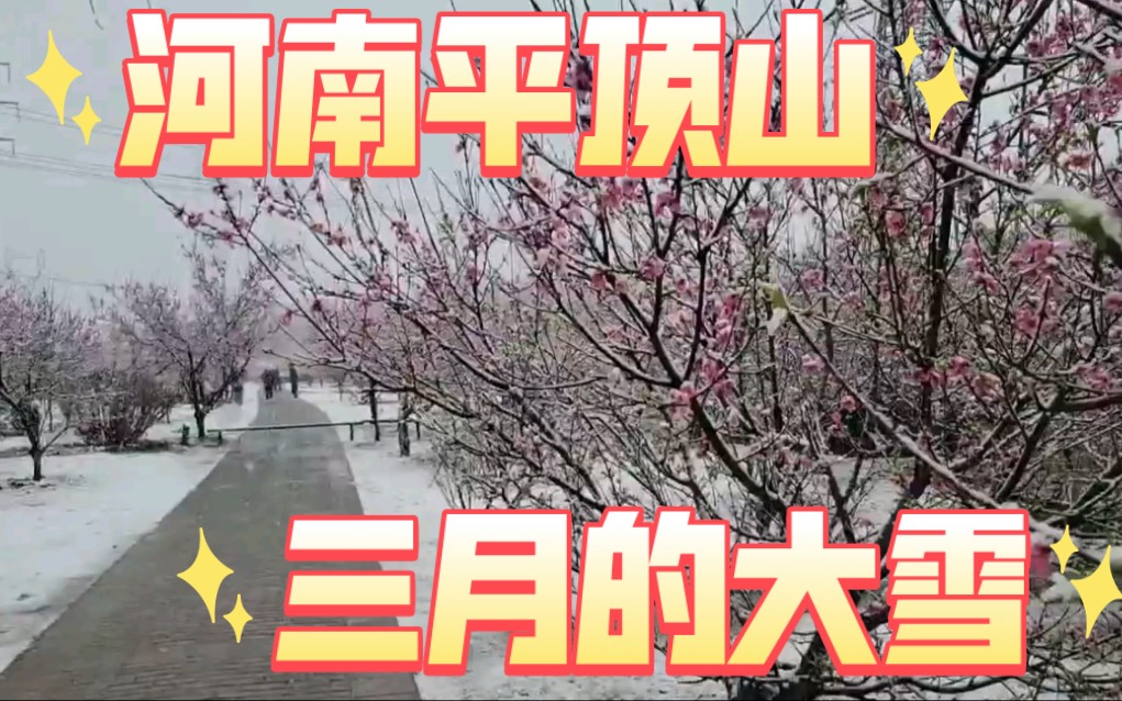 河南省平顶山,三月份的桃花雪,太漂亮哔哩哔哩bilibili