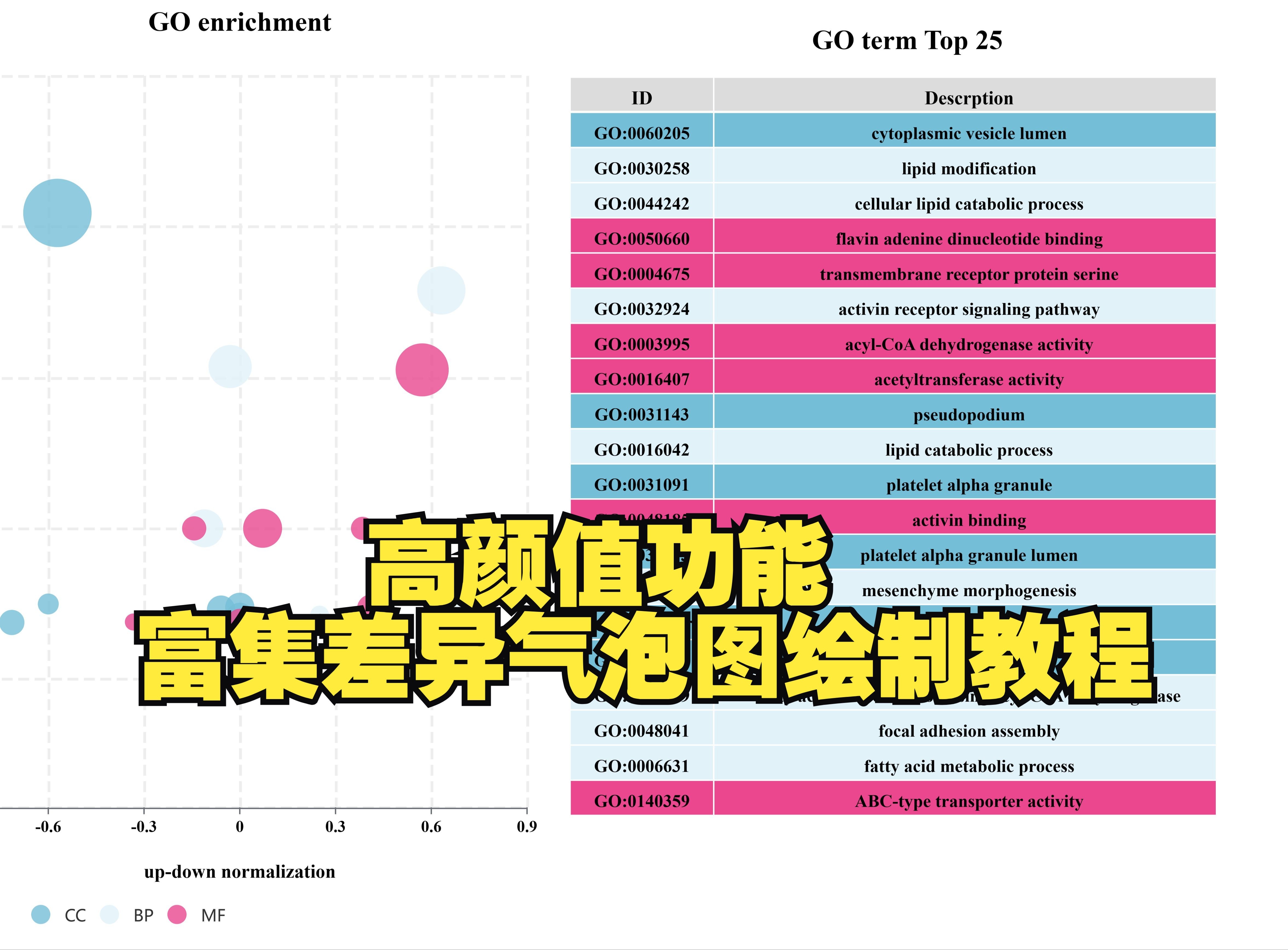 高颜值功能富集差异气泡图绘制教程 | CNSknowall哔哩哔哩bilibili