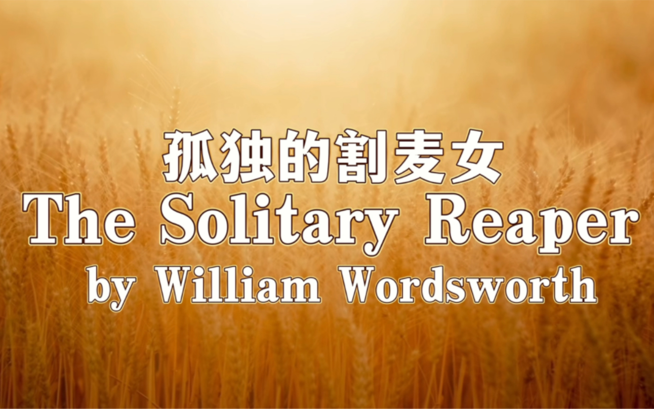 the solitary reaper 孤独的割麦女|william wordsworth 华兹华斯