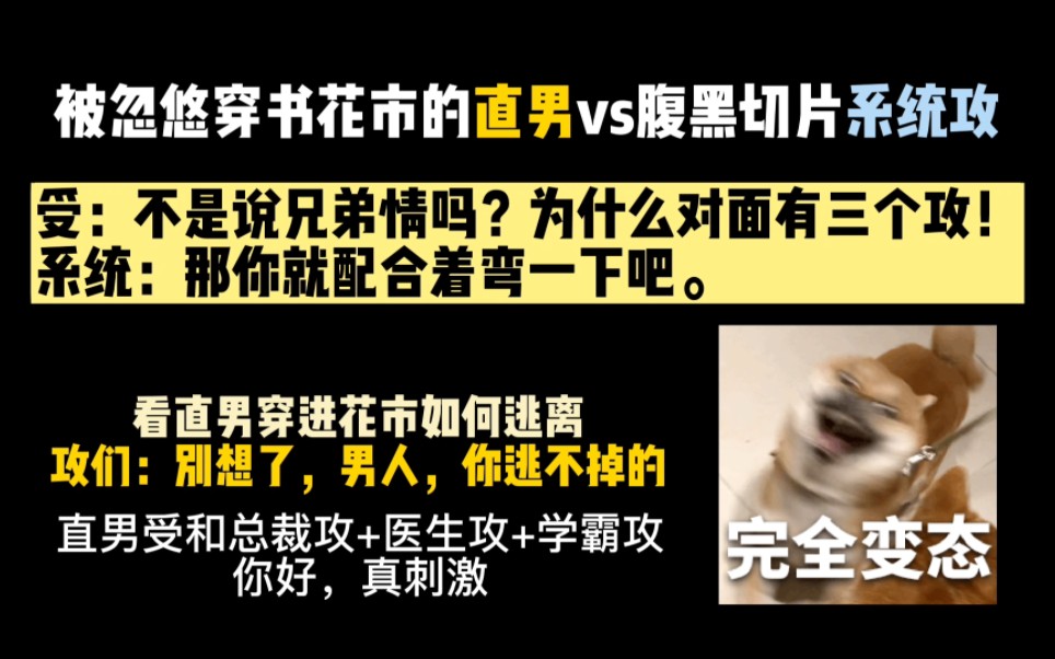 [图]【纯爱推文】被忽悠穿书花市的直男受vs腹黑切片系统攻，不在花市但胜似花市，点进来看直男如何一步步陷入剧情套路！！