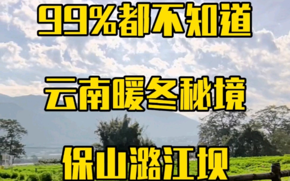 99%都不知道云南暖冬秘境高黎贡勐赫小镇哔哩哔哩bilibili