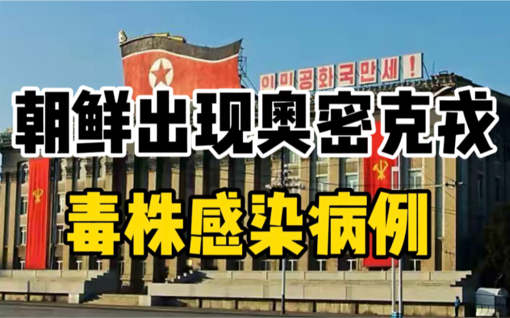 朝鲜发现新冠奥密克戎ba.