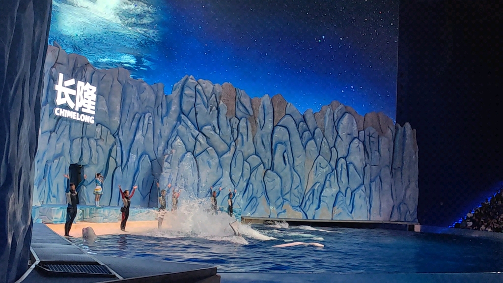 长隆海洋乐园白鲸馆20230625实拍