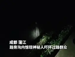 Descargar video: 大晚上谁不害怕啊…