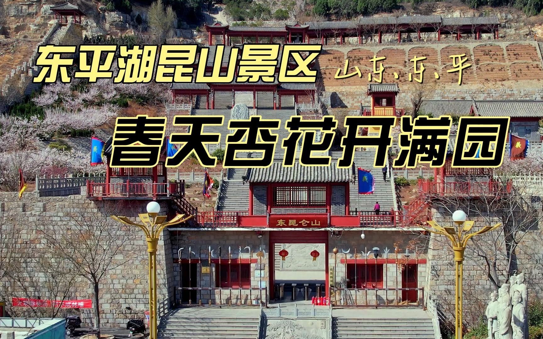 山东泰安|东平湖昆山景区春天杏花开满园,依山傍水太美了哔哩哔哩bilibili