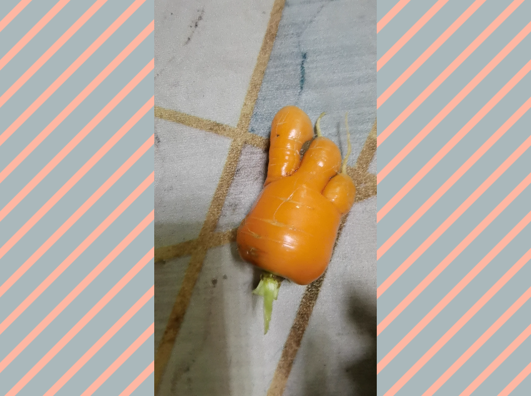 奇形怪状的胡萝卜