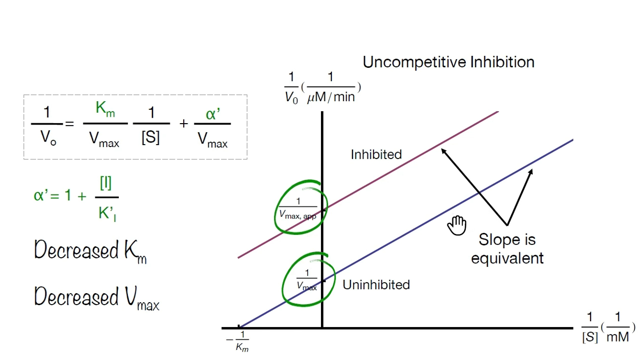 2.4.4.2非竞争性抑制剂、混合性抑制剂、反竞争性抑制剂下的下的Km和Vmax哔哩哔哩bilibili