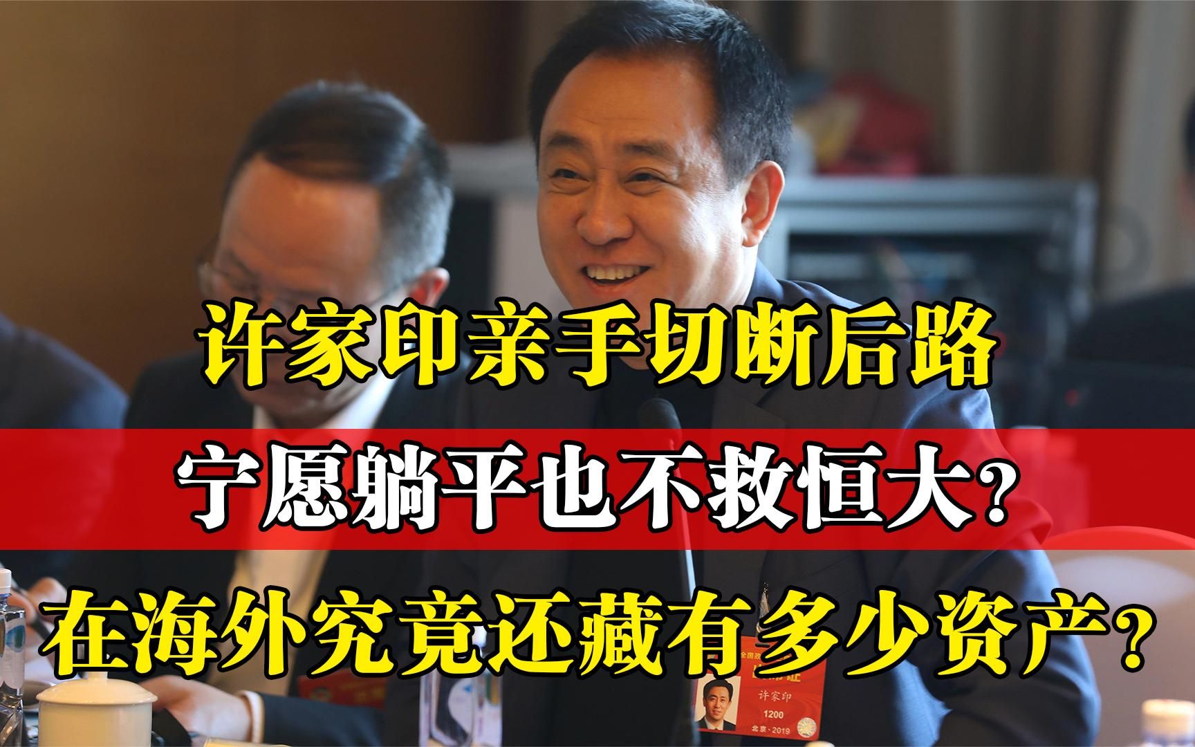 亲手扔掉最后一根稻草,许家印躺平也不救恒大?海外还藏多少资产哔哩哔哩bilibili