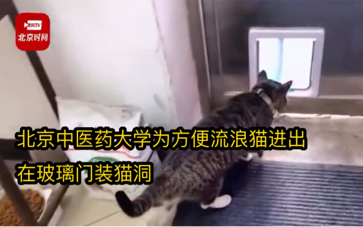 [图]北京中医药大学为方便流浪猫进出在玻璃门装猫洞 老师：医者仁心，关爱生命！